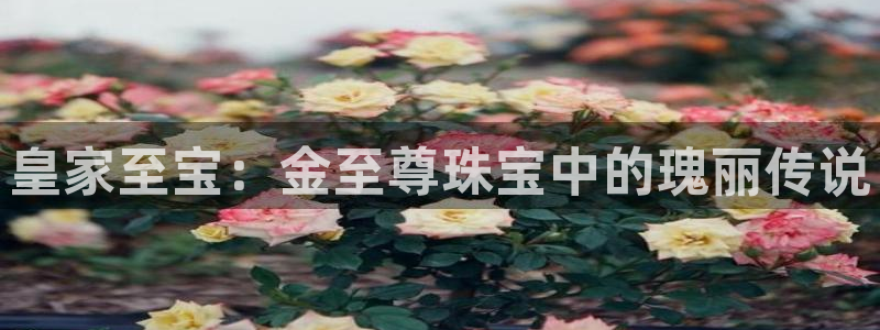 下载新宝5：皇家至宝：金至尊珠宝中的瑰丽传说