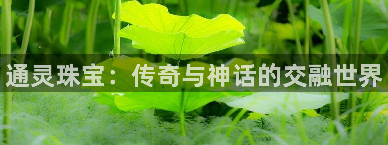 新宝5招商：通灵珠宝：传奇与神话的交融世界