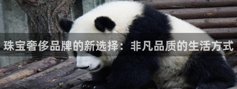 新宝5app手机下载：珠宝奢侈品牌的新选择：非凡品质的生活方式