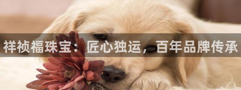 新宝5注册测速登录：祥祯福珠宝：匠心独运，百年品牌传承