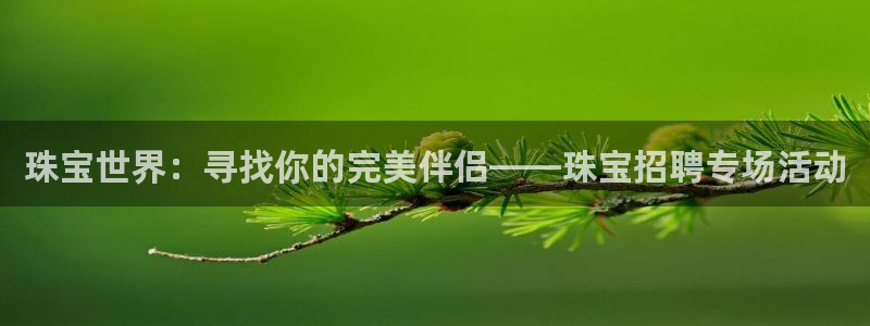 新宝5安卓版：珠宝世界：寻找你的完美伴侣——珠宝招聘专场活动