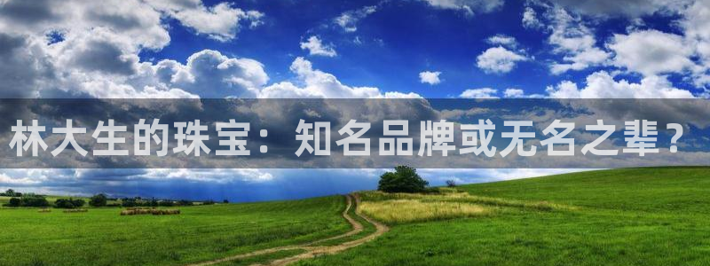 新宝5测：林大生的珠宝：知名品牌或无名之辈？