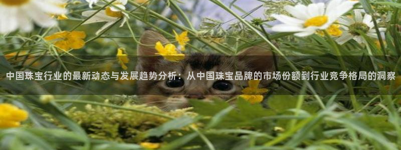 新宝5娱乐如：中国珠宝行业的最新动态与发展趋势分析：从中国珠宝品牌的市场份额到行