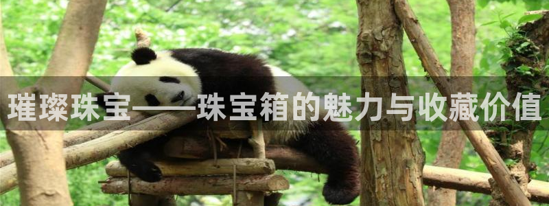 新宝5天：璀璨珠宝——珠宝箱的魅力与收藏价值