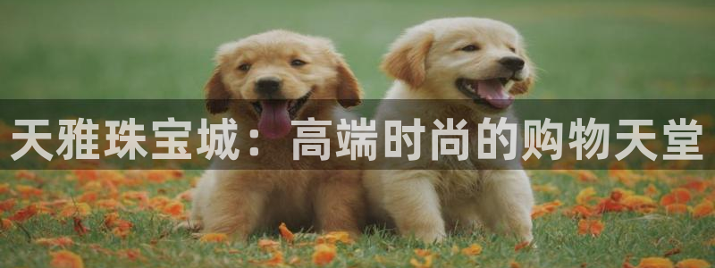 新宝5下载app：天雅珠宝城：高端时尚的购物天堂