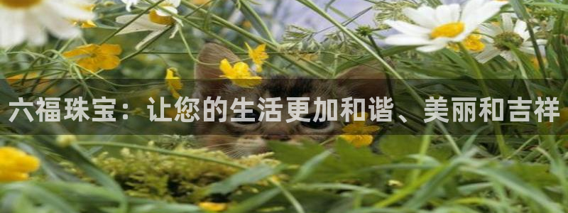 新宝5总代：六福珠宝：让您的生活更加和谐、美丽和吉祥