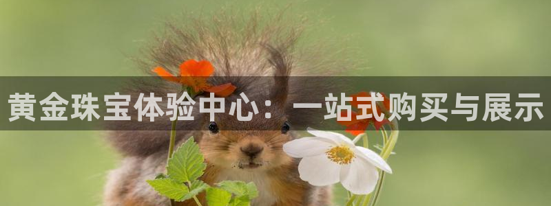 p5r新宝魔：黄金珠宝体验中心：一站式购买与展示
