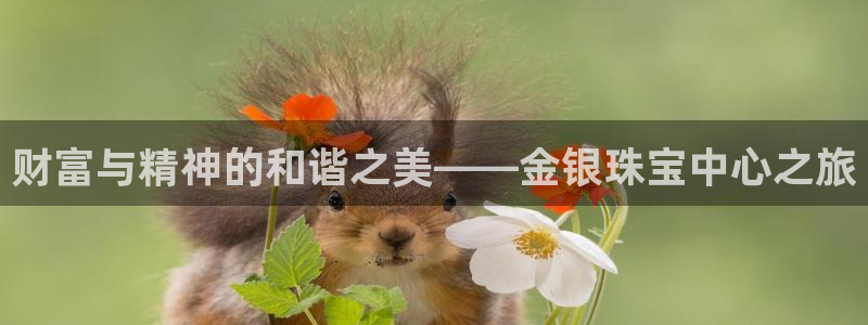 新宝5下载网址：财富与精神的和谐之美——金银珠宝中心之旅