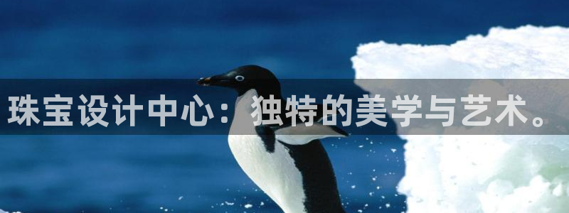 新宝5线路：珠宝设计中心：独特的美学与艺术。