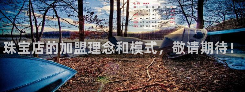 新宝股东王听2 5 5：珠宝店的加盟理念和模式，敬请期待！