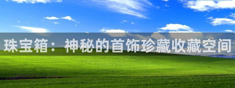 新宝5电脑登录网址：珠宝箱：神秘的首饰珍藏收藏空间