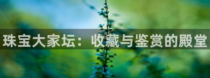 新宝5官方登录入口：珠宝大家坛：收藏与鉴赏的殿堂