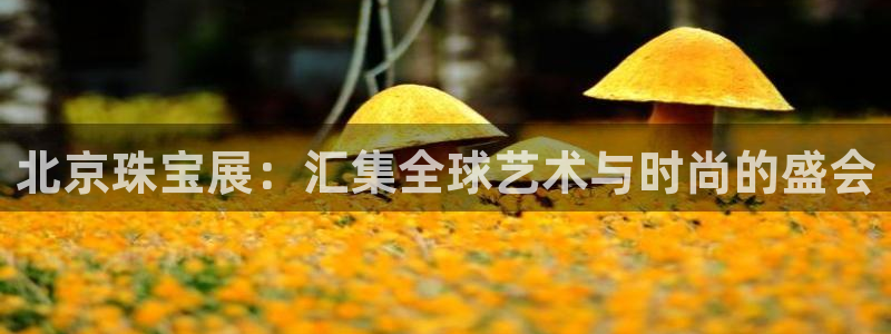 新宝5入口：北京珠宝展：汇集全球艺术与时尚的盛会