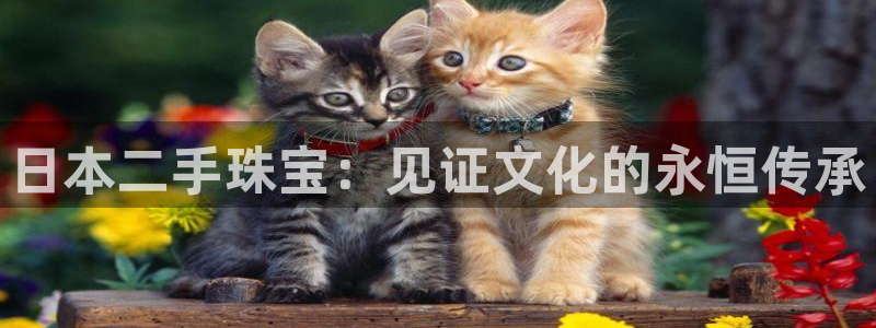 新宝测速5：日本二手珠宝：见证文化的永恒传承