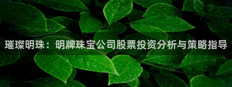 新宝5登录测速中心：璀璨明珠：明牌珠宝公司股票投资分析与策略指导