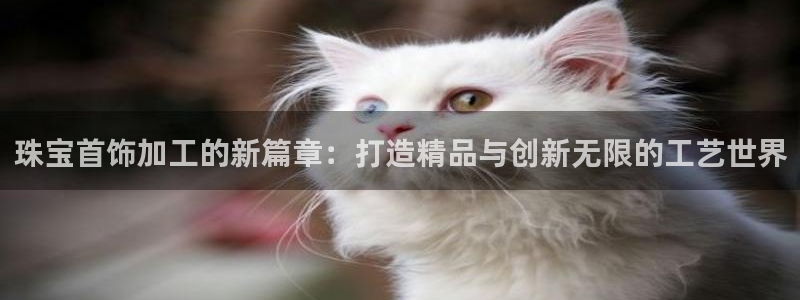 新宝rc_5w：珠宝首饰加工的新篇章：打造精品与创新无限的工艺世界