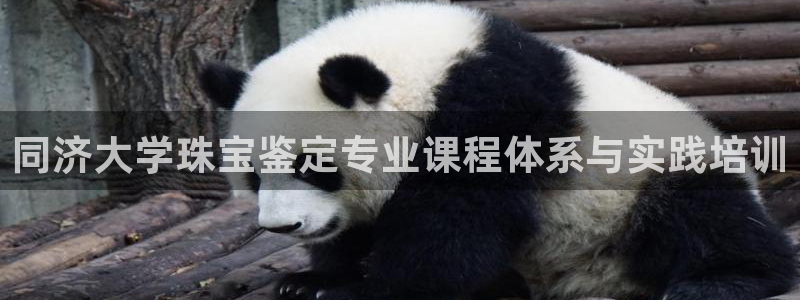 新宝5娱乐然：同济大学珠宝鉴定专业课程体系与实践培训