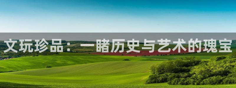 新宝5黑彩：文玩珍品：一睹历史与艺术的瑰宝