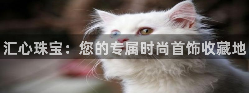 新宝奇迹GG5：汇心珠宝：您的专属时尚首饰收藏地