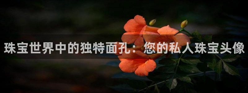 新宝5苹果手机下载：珠宝世界中的独特面孔：您的私人珠宝头像