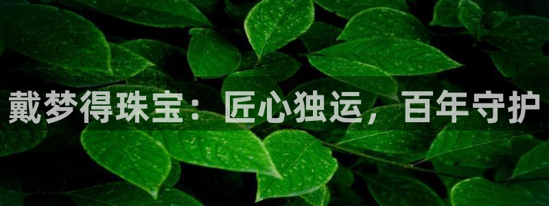 新宝5新宝6顺达