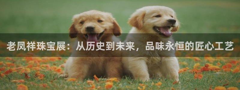 新宝5登录测速中心：老凤祥珠宝展：从历史到未来，品味永恒的匠心工艺