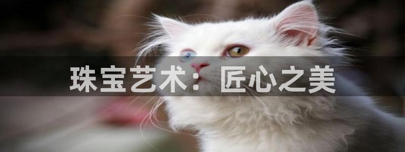 新宝5是什么样子的：珠宝艺术：匠心之美