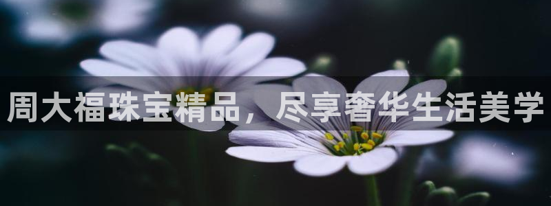 新宝5登陆地址：周大福珠宝精品，尽享奢华生活美学