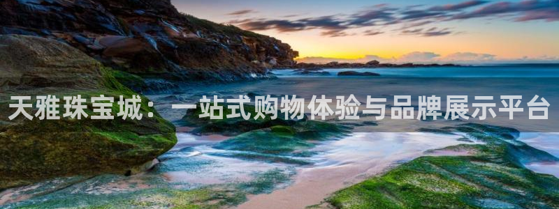 新宝5日谢29999：天雅珠宝城：一站式购物体验与品牌展示平台