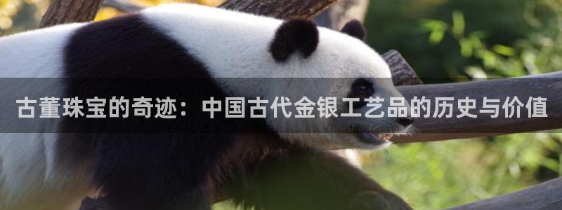 新宝5如何注册登录：古董珠宝的奇迹：中国古代金银工艺品的历史与价值