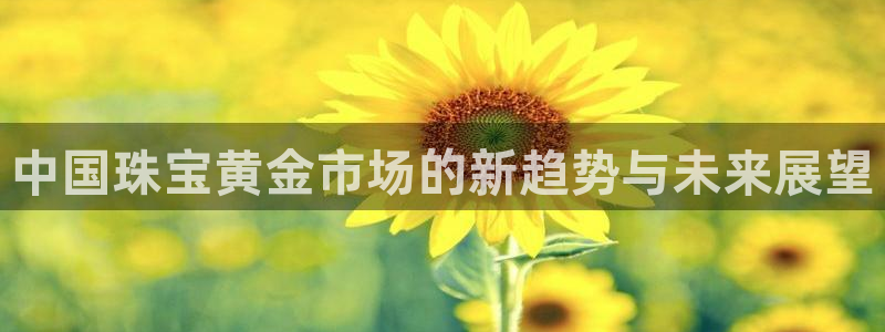 新宝5下载官方：中国珠宝黄金市场的新趋势与未来展望