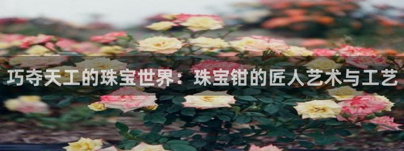 新宝gg5：巧夺天工的珠宝世界：珠宝钳的匠人艺术与工艺