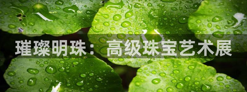 新宝5侹刔：璀璨明珠：高级珠宝艺术展