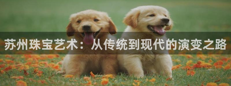 新宝5为啥开：苏州珠宝艺术：从传统到现代的演变之路