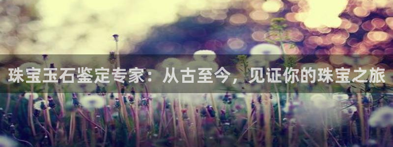 新宝5湫333 00：珠宝玉石鉴定专家：从古至今，见证你的珠宝之旅