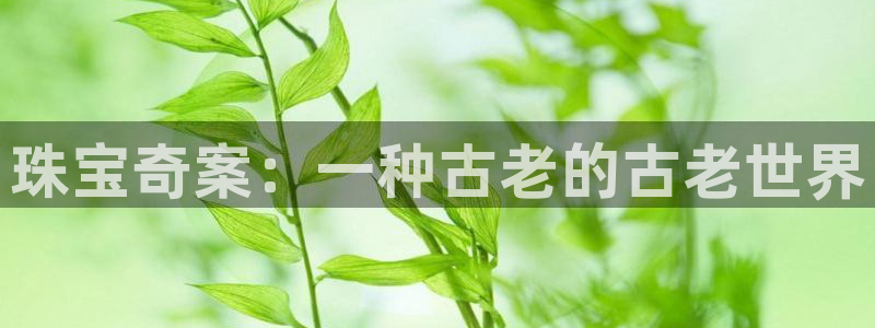 新宝5娱乐手机登录：珠宝奇案：一种古老的古老世界
