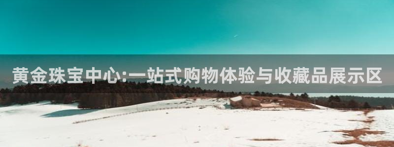 新宝5秒开：黄金珠宝中心:一站式购物体验与收藏品展示区