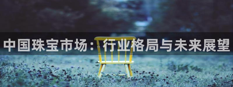 新宝5平棋牌：中国珠宝市场：行业格局与未来展望
