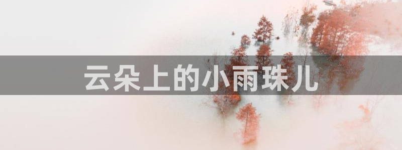 新宝5平台登录下载软件：云朵上的小雨珠儿