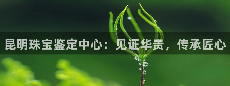 新宝5日：昆明珠宝鉴定中心：见证华贵，传承匠心