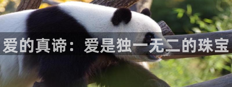 新宝5账号注册：爱的真谛：爱是独一无二的珠宝