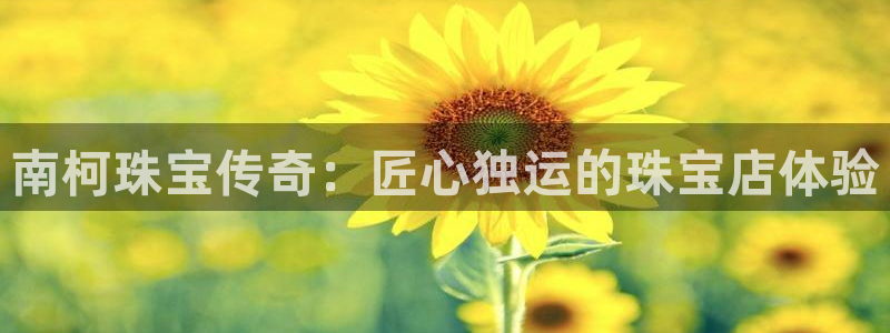 新宝5平棋牌：南柯珠宝传奇：匠心独运的珠宝店体验