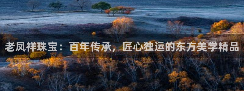 新宝j2O5O5O：老凤祥珠宝：百年传承，匠心独运的东方美学精品