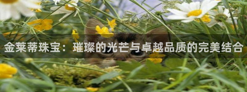 新宝5娱乐登陆：金莱蒂珠宝：璀璨的光芒与卓越品质的完美结合