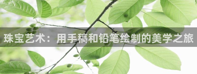 新宝gg5：珠宝艺术：用手稿和铅笔绘制的美学之旅