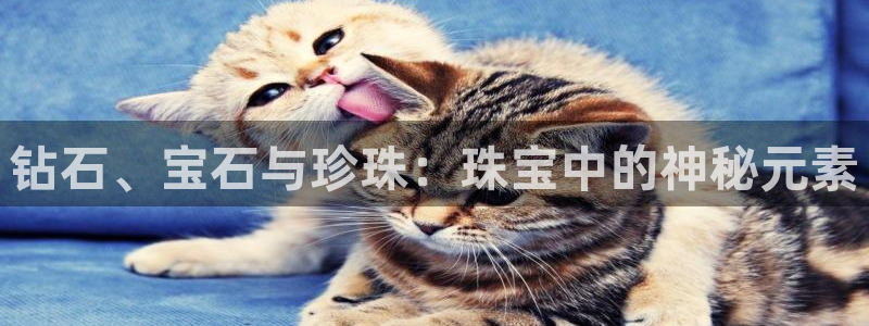 新宝5登陆：钻石、宝石与珍珠：珠宝中的神秘元素