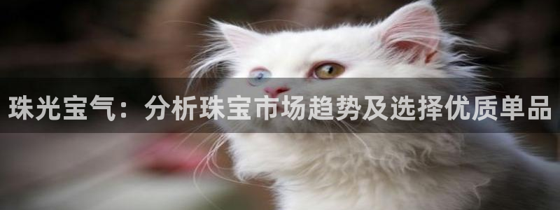 新宝5五：珠光宝气：分析珠宝市场趋势及选择优质单品