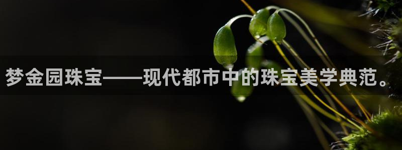 新宝5入口：梦金园珠宝——现代都市中的珠宝美学典范。