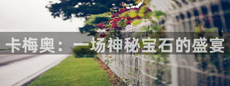 新宝5寻33 300球：卡梅奥：一场神秘宝石的盛宴