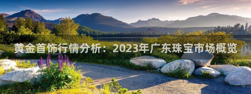 新宝5官网67五壹叁八：黄金首饰行情分析：2023年广东珠宝市场概览